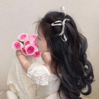 阿妮塔与加里波第 海报
